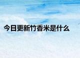今日更新竹香米是什么