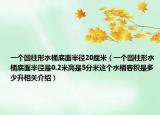 一个圆柱形水桶底面半径20厘米（一个圆柱形水桶底面半径是0.2米高是5分米这个水桶容积是多少升相关介绍）