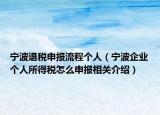宁波退税申报流程个人（宁波企业个人所得税怎么申报相关介绍）