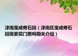 津南宝成奇石园（津南区宝成奇石园需要买门票吗相关介绍）