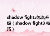 shadow fight3怎么升级（shadow fight3 技巧）