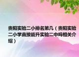贵阳实验二小排名第几（贵阳实验二小学直接能升实验二中吗相关介绍）