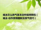 蛙泳怎么换气基本动作视频教程（蛙泳 动作要领图解及换气技巧）
