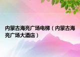 内蒙古海亮广场电梯（内蒙古海亮广场大酒店）