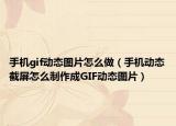 手机gif动态图片怎么做（手机动态截屏怎么制作成GIF动态图片）