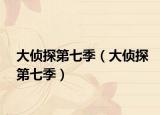 大侦探第七季（大侦探第七季）
