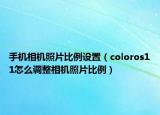 手机相机照片比例设置（coloros11怎么调整相机照片比例）
