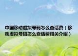 中国移动虚拟号码怎么查话费（移动虚拟号码怎么查话费相关介绍）