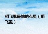 稻飞虱最怕的克星（稻飞虱）