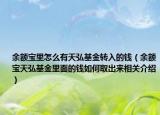 余额宝里怎么有天弘基金转入的钱（余额宝天弘基金里面的钱如何取出来相关介绍）