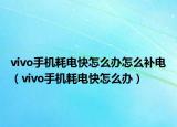 vivo手机耗电快怎么办怎么补电（vivo手机耗电快怎么办）