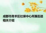 成都市青羊区社保中心所属街道相关介绍