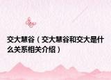 交大慧谷（交大慧谷和交大是什么关系相关介绍）