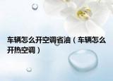 车辆怎么开空调省油（车辆怎么开热空调）