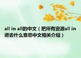 all in all的中文（把所有资源all in进去什么意思中文相关介绍）