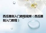 西瓜雕刻入门教程视频（西瓜雕刻入门教程）