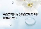 平面凸轮倒角（弧面凸轮怎么倒角相关介绍）