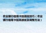 农业银行信用卡提额度技巧（农业银行信用卡提高额度及调整方法）