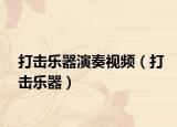 打击乐器演奏视频（打击乐器）