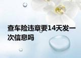 查车险违章要14天发一次信息吗