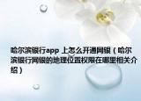 哈尔滨银行app 上怎么开通网银（哈尔滨银行网银的地理位置权限在哪里相关介绍）