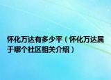 怀化万达有多少平（怀化万达属于哪个社区相关介绍）