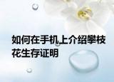 如何在手机上介绍攀枝花生存证明
