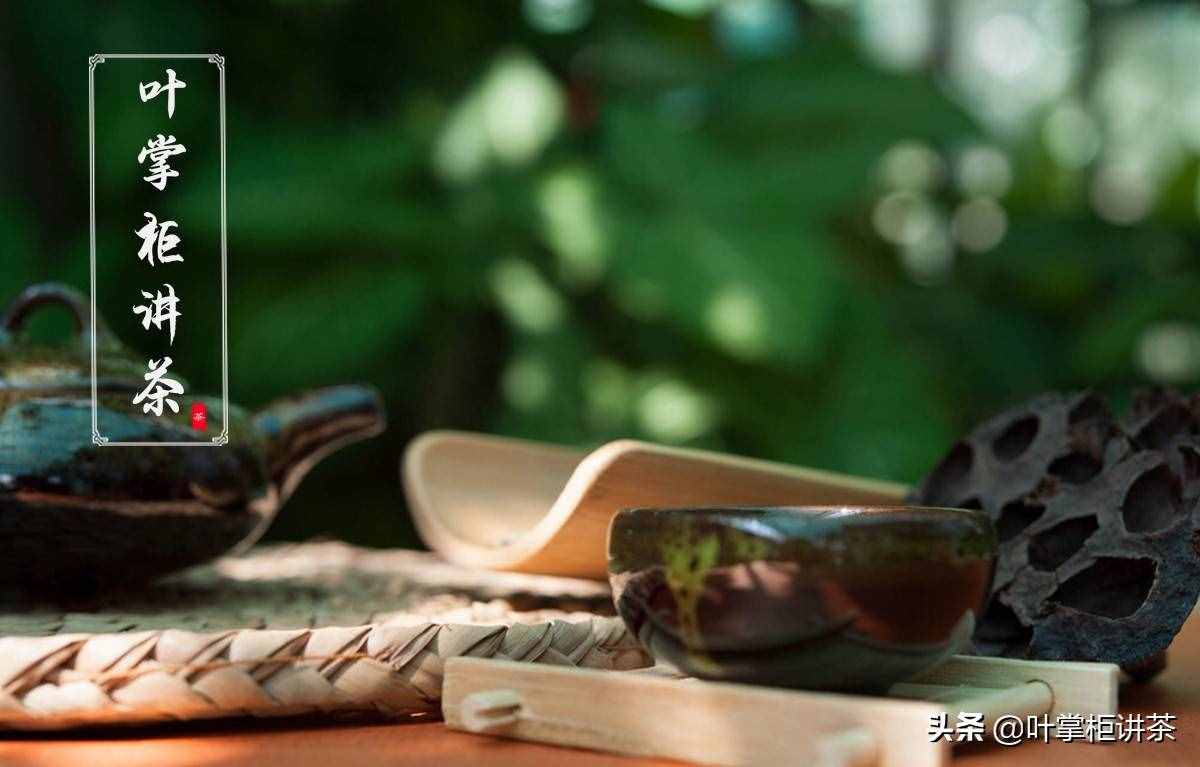如何冲泡茶叶，这六大步骤，你知道吗？