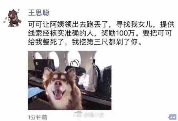 网传王思聪家的王可可丢了 悬赏100万找狗