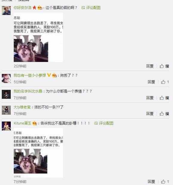 网传王思聪家的王可可丢了 悬赏100万找狗