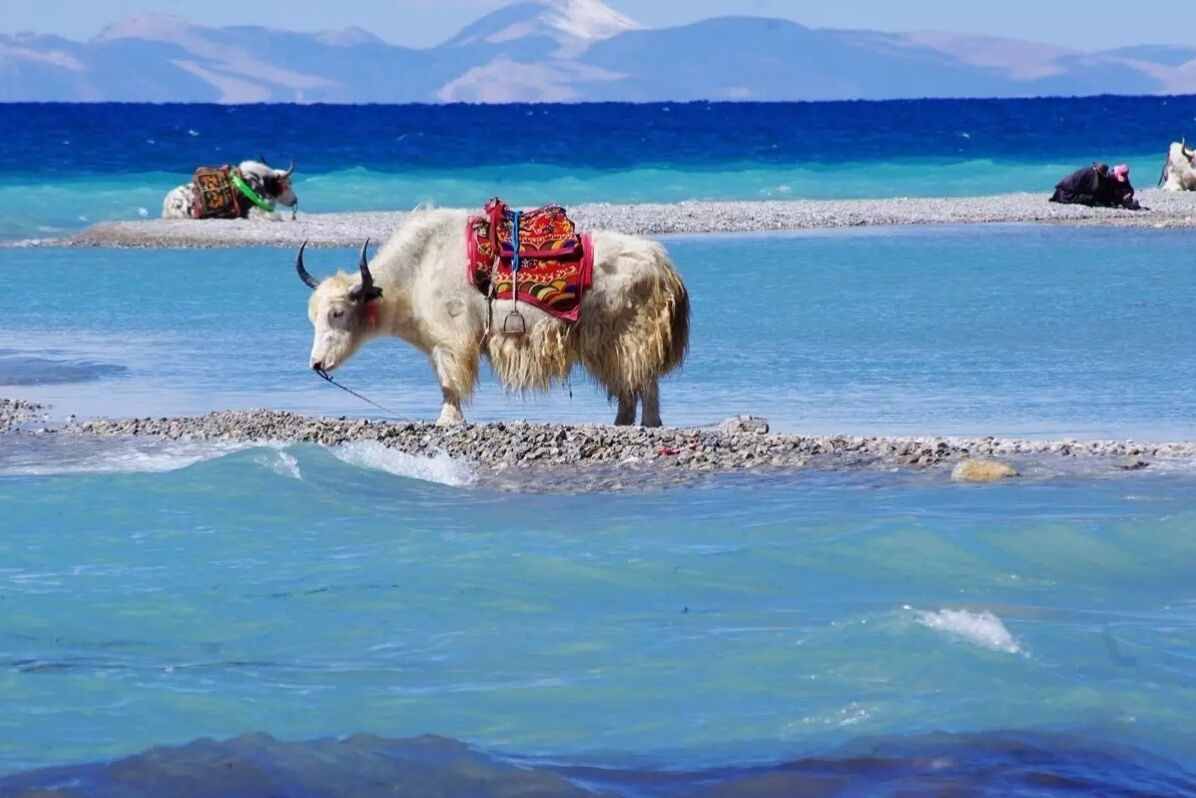 中国最美的五大湖泊，最高的达到4718米，你都去过吗？