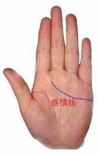 如何看手相,教你看手相,看手相方法