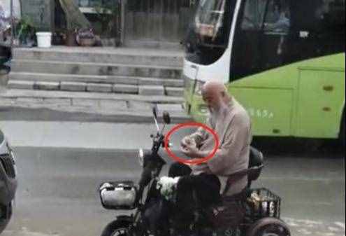 64岁李琦太真实！骑小三轮买菜，挺着大肚子在街头数钱