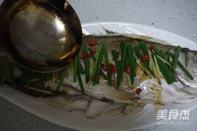 海鲈鱼的步骤