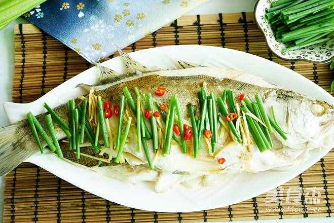 海鲈鱼成品图