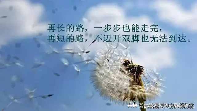 如何区分英文中及物动词和不及物动词？