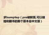 求bumptop（pro破解版,可以碰撞和翻书的那个版本是中文版）