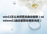 win11怎么关闭系统自动更新（windows11自动更新在哪里关闭）