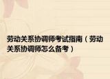 劳动关系协调师考试指南（劳动关系协调师怎么备考）
