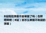B站现在弹幕不能举报了吗（在哔哩哔哩（B站）里怎么举报不和谐的弹幕）