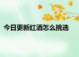 今日更新红酒怎么挑选