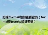 终端foxmail如何查看密码（foxmail的esmtp验证密码）
