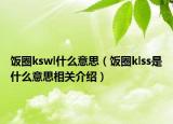 饭圈kswl什么意思（饭圈klss是什么意思相关介绍）