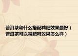 普洱茶和什么搭配减肥效果最好（普洱茶可以减肥吗效果怎么样）
