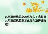 九阴真经桃花岛怎么加入（完整页九阴真经桃花岛怎么加入及详细介绍）