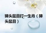 獐头鼠目打一生肖（獐头鼠目）