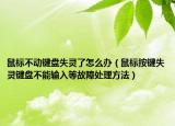 鼠标不动键盘失灵了怎么办（鼠标按键失灵键盘不能输入等故障处理方法）