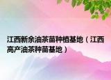 江西新余油茶苗种植基地（江西高产油茶种苗基地）