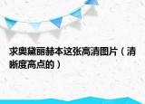求奥黛丽赫本这张高清图片（清晰度高点的）