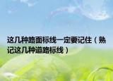 这几种路面标线一定要记住（熟记这几种道路标线）